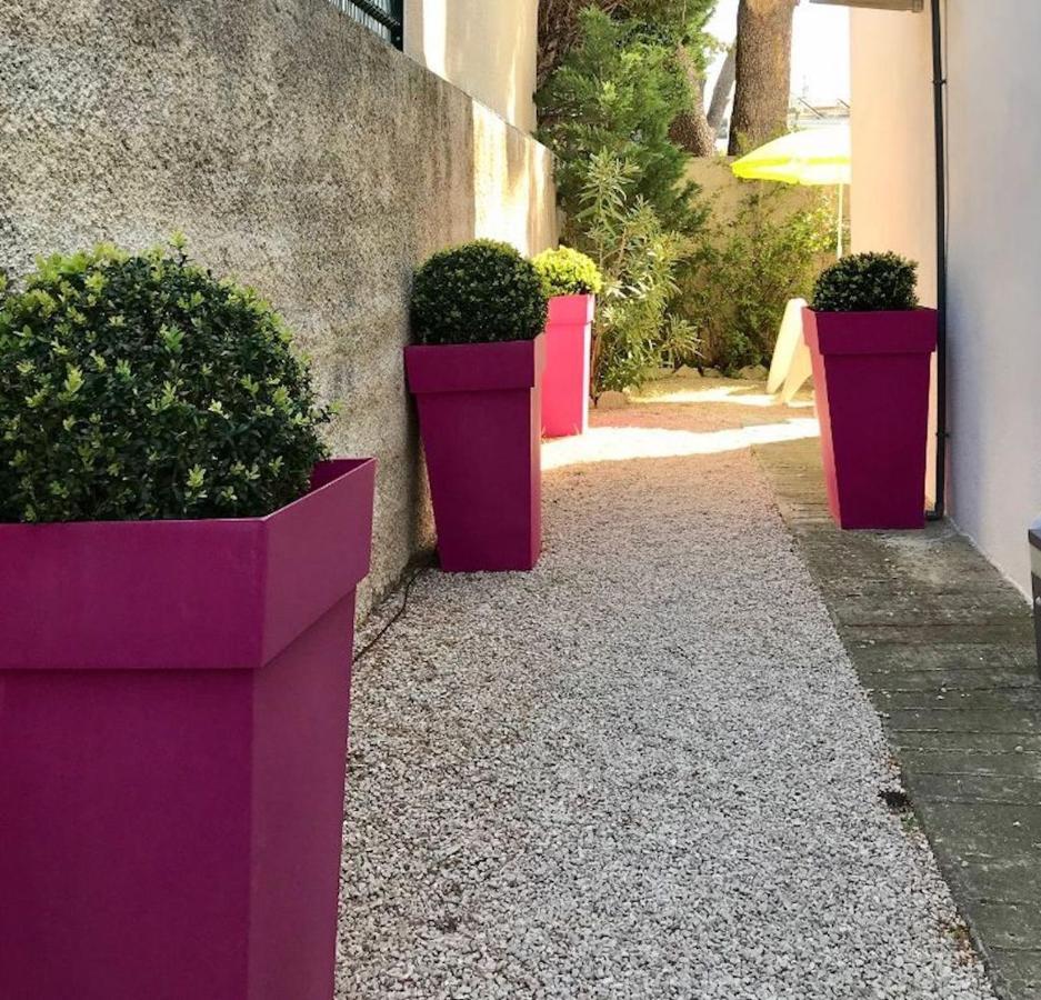 Villa Du Golfe - Studio Saint Jean La Ciotat Eksteriør billede